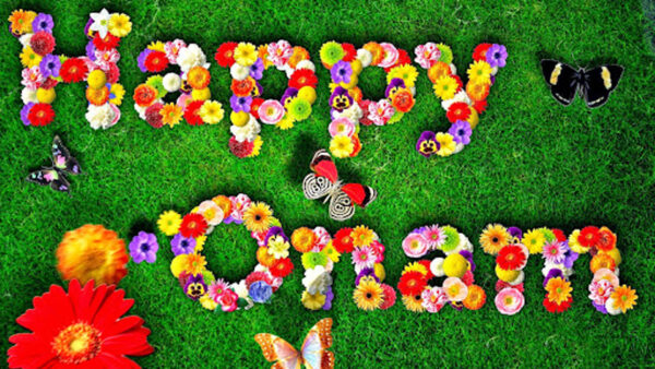 Wallpaper Butterflies, Flowers, Colorful, Onam, Green, Happy, Grass