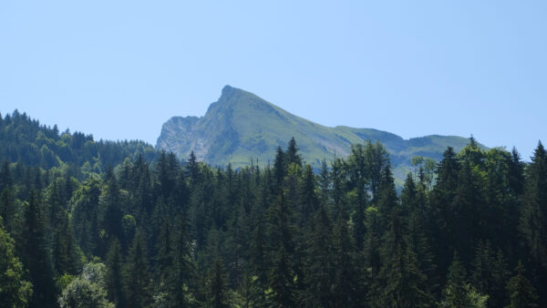 Wallpaper Blue, Background, Green, Under, Sky, Nature, Mountains, Desktop, Trees, Forest