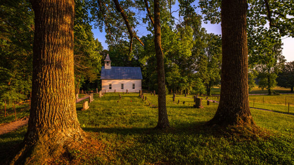 Wallpaper Field, Trees, House, Grass, Green, Nature, View, Sunbeam, Surrounded, Landscape