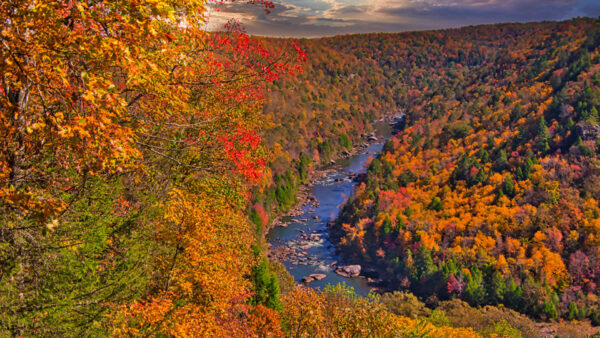Wallpaper Green, View, Fall, Autumn, Yellow, Red, River, Aerial, Trees, Stones, Orange