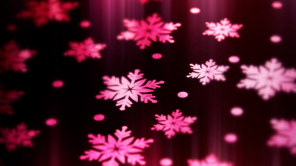 Wallpaper Art, Snowflakes, Pattern, Design, Abstraction, Pink, Abstract