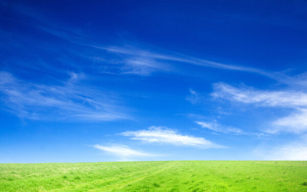 Wallpaper Green, Blue, Grass