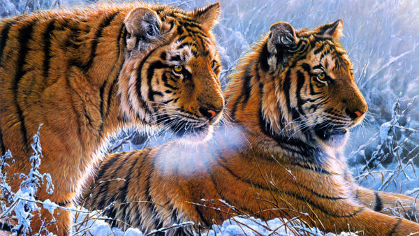 Wallpaper Paint, Oil, Tigers