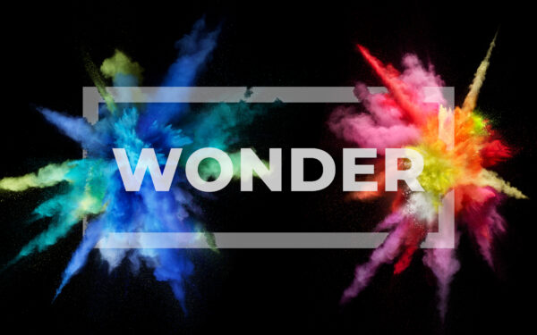 Wallpaper Splash, Wonder