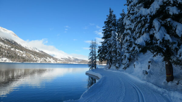 Wallpaper Path, Covered, Silvaplana, Snow, Switzerland, Winter
