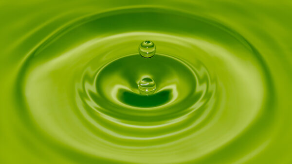 Wallpaper And, Drops, Water, Green, Desktop, Mobile, Photo, Closeup