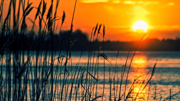 Wallpaper Crops, Sunset, Lake, Nature, Desktop, Mobile