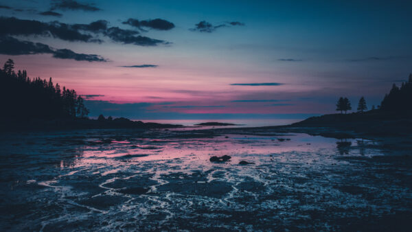 Wallpaper Trees, Desktop, Lake, Dusk, Mobile, Nature, Silhouette