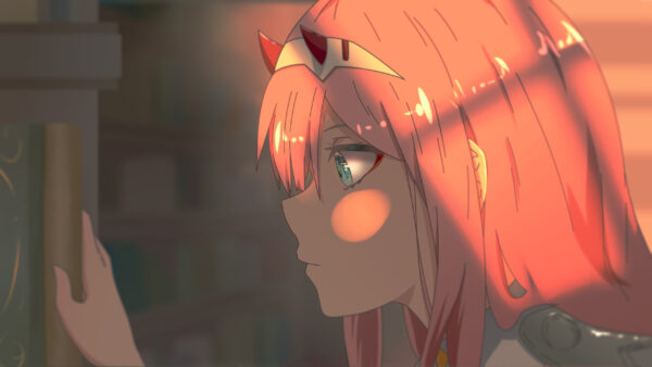 Wallpaper FranXX, Two, Hair, Hiro, Her, Red, The, Anime, Zero, Desktop, Rays, Sun, Darling, Head, With