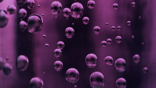 Wallpaper Bubbles, Purple, Desktop, Water