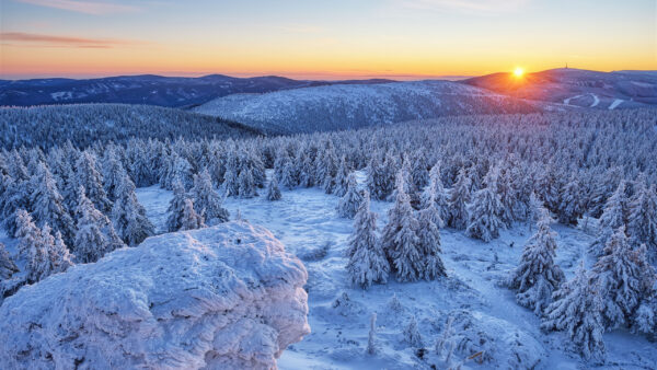 Wallpaper Desktop, Covered, Sunset, Field, With, Winter, Background, Trees, Snow