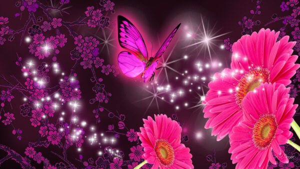 Wallpaper Pink, Black, Background, Flowers, Glittering, With, Butterfly