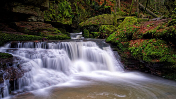 Wallpaper Background, Pouring, Waterfalls, Green, Rocks, Covered, River, Scenery, Algae, Forest, Beautiful