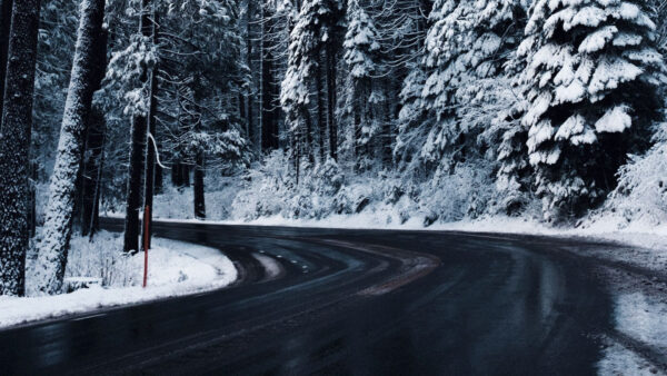 Wallpaper Between, Nature, Snow, Desktop, During, Road, Trees, Winter, Covered