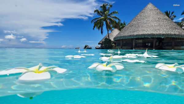 Wallpaper Hut, Beach, Desktop, Between, Mexican