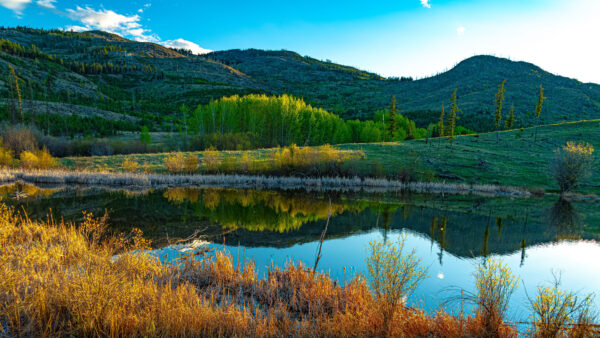 Wallpaper Desktop, Lake, Reflection, Sky, Under, Mobile, Slope, Blue, Nature, Hills, Greenery, Mountains, Trees