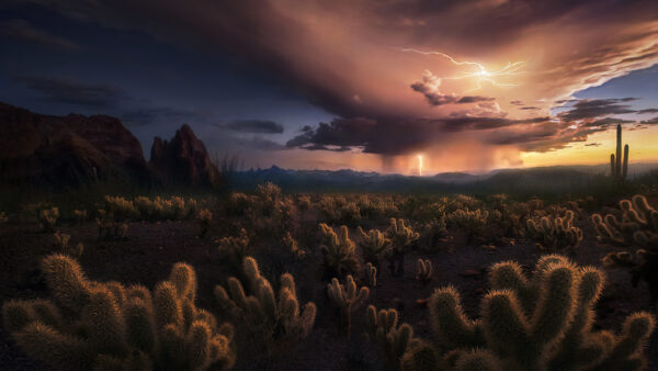 Wallpaper Cloud, Desert, Storm, Cactus, Nature, During