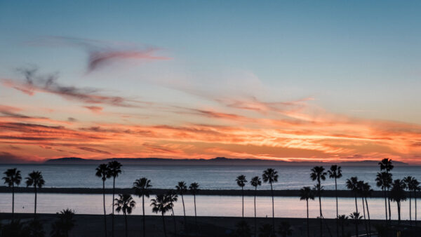 Wallpaper Beach, Palm, Mobile, During, Under, Blue, Coast, Sand, Ocean, Sky, Trees, Nature, Sunset, Waves, Sea, Desktop