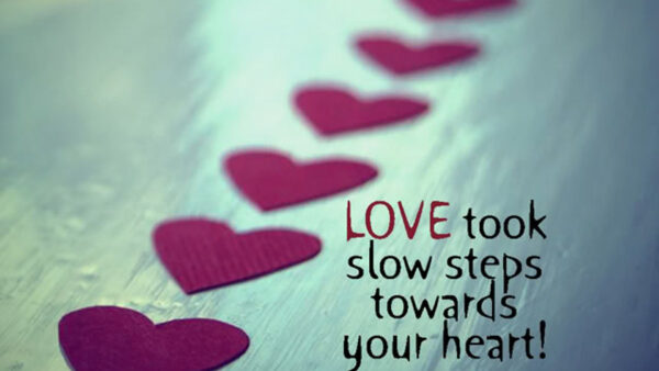 Wallpaper Steps, Slow, Took, Your, Heart, Towards, Love