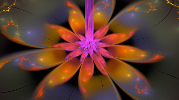 Wallpaper Flower, Abstraction, Glow, Petals, Abstract, Mobile, Desktop, Yellow, Purple