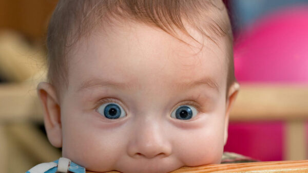 Wallpaper Background, Blue, Eyes, Funny, Baby, Face, Blur