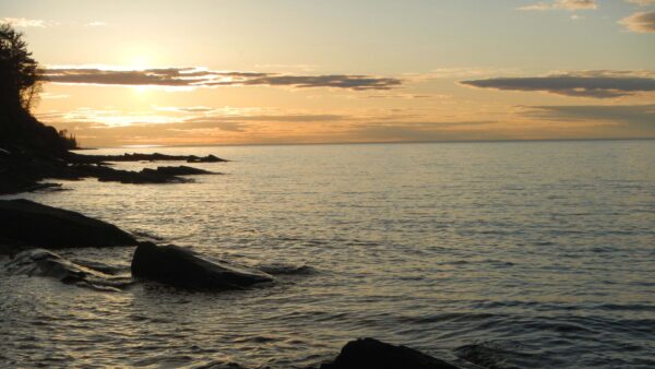 Wallpaper Ocean, Rocks, Twilight, Stones, Trees, And, Waves, Dark, Background