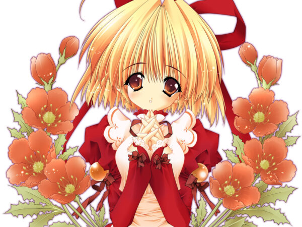 Wallpaper Girls, Anime