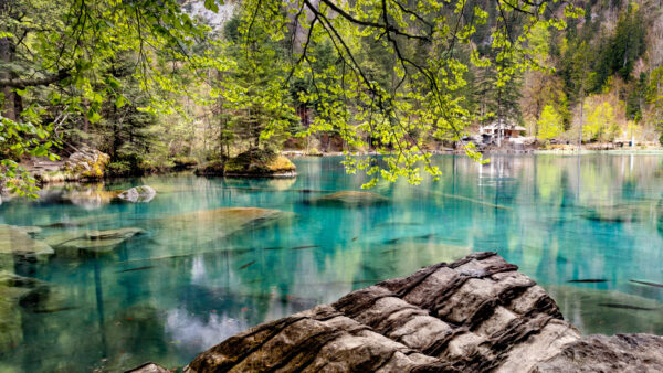 Wallpaper Green, Trees, Desktop, Surrounded, Water, Stone, Inside, Mobile, Rocks, Nature, Body