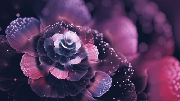 Wallpaper Abstract, Flowers, Pink, Fractal
