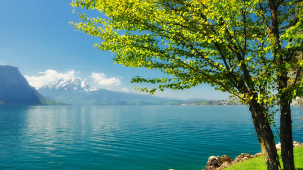 Wallpaper Blue, Tree, Green, View, Sky, Under, Body, Landscape, And, Mountain, Calm, Leafed, Near, Nature, Water, Desktop
