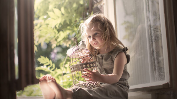 Wallpaper Cute, Window, And, Cage, Near, Color, Girl, Sitting, With, Grey, Wearing, Little, Dress, Bird, Lap