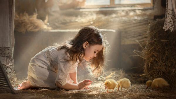 Wallpaper Wearing, Background, White, Playing, Desktop, Cute, Little, With, Girl, Sunbeam, Dress, Chickens