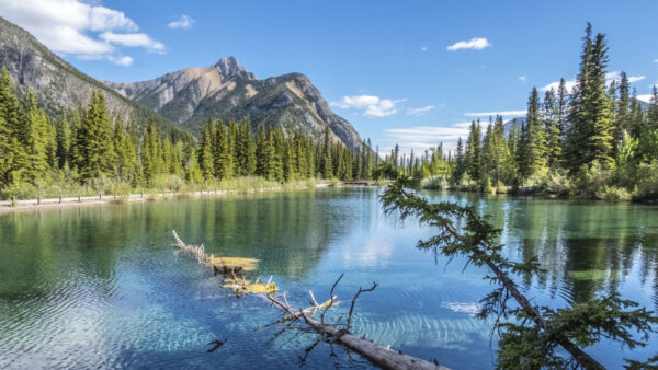 Wallpaper Trees, Reflection, Blue, Nature, River, Forest, Mountains, Sky, Desktop, Mobile, Background