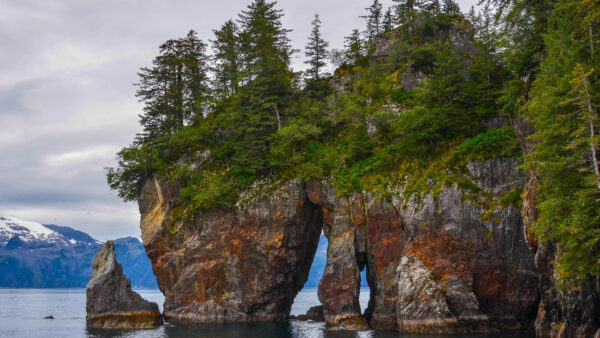 Wallpaper With, Covered, Nature, Rock, Trees, Water