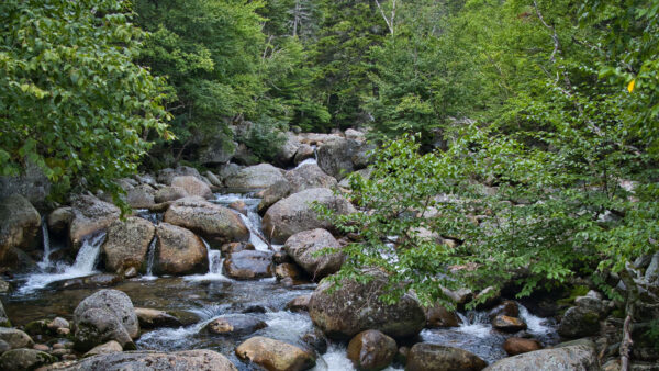 Wallpaper Rocks, River, Background, Desktop, Stones, Bushes, Trees, Nature, Mobile, Forest, Green