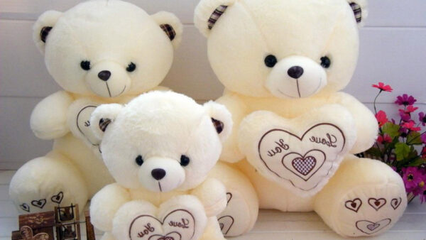 Wallpaper Soft, Bears, Bear, Three, Teddy