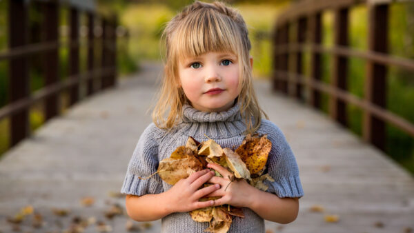 Wallpaper Dress, Standing, Background, Blur, Ash, Wearing, Little, Bridge, Girl, With, Dry, Cute, Leaves