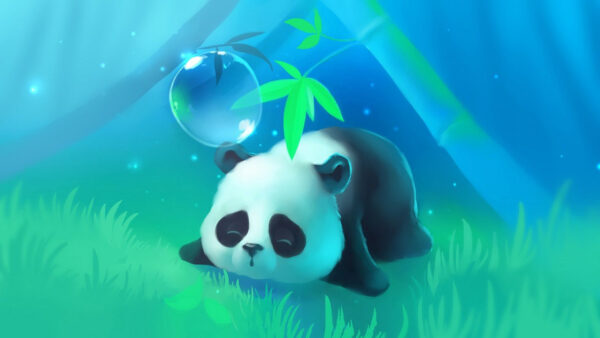 Wallpaper Down, Grass, Lying, Desktop, Panda