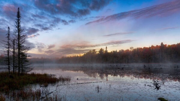 Wallpaper Sky, Fog, Swamp, Surrounded, Clouds, Trees, Blue, Mobile, Forest, With, Nature, Black, Under, River, Desktop