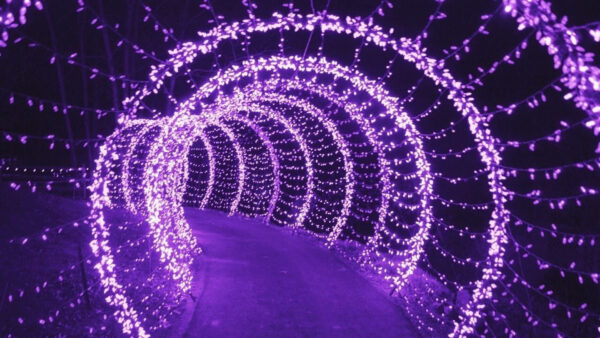 Wallpaper White, Decoration, Purple, Lights, Aesthetic