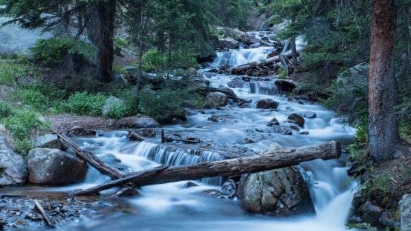 Wallpaper Logs, Bushes, Forest, Stones, Background, Rocks, Wood, Trees, Between, Waterfall, Nature, Stream, Green