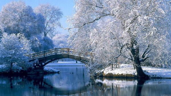 Wallpaper Trees, Landscape, View, Surrounded, Wood, River, Winter, Above, Sky, Bridge, Covered, Snow, Background, Blue