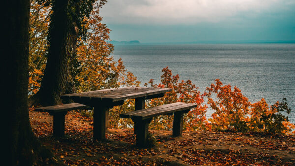 Wallpaper Blue, White, Ocean, Wood, Sky, Autumn, Clouds, Trees, Benches