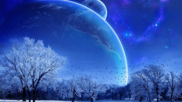 Wallpaper Blue, Leaves, Moon, Sky, Anime, Birds, White, Background, Trees