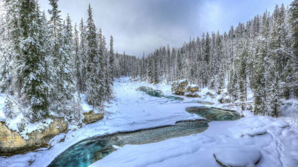 Wallpaper Blue, Water, Winter, Bushes, Spruce, Covered, Sky, Stream, Trees, Under, Snow, Between