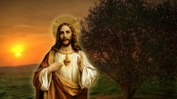 Wallpaper Background, Sunrise, Jesus