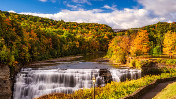 Wallpaper Green, Aerial, Red, Park, Forest, Autumn, View, Stream, Trees, Yellow, Orange, Waterfalls