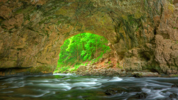 Wallpaper Cave, Nature, Trees, Stream, Arch, Water, Rock, Mountain, Green