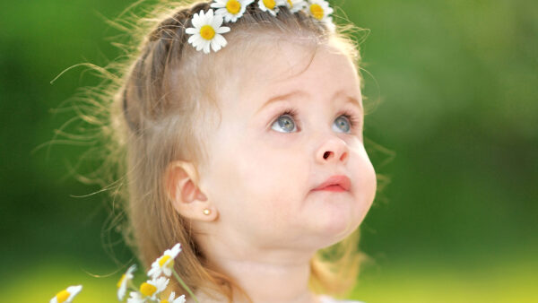 Wallpaper Camomiles, Little, Standing, Cute, Background, Flowers, With, Girl, Looking, Green