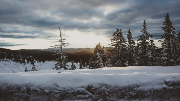 Wallpaper Snow, Blue, Background, Trees, White, Black, Covered, Under, Mountains, Sky, Winter, Clouds, Spruce, Forest